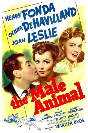 The Male Animal's poster