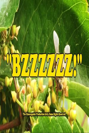 BZZZZZZ!'s poster