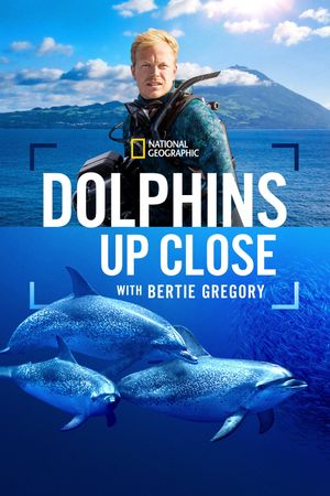 Dolphins Up Close with Bertie Gregory's poster