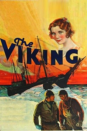 The Viking's poster