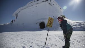 The Anderssons Rock the Mountains's poster