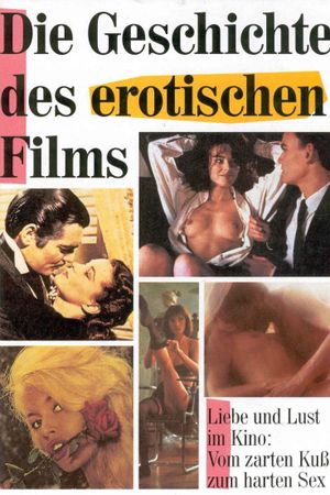 The Story of Erotic Film's poster