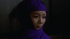 The Vanity of the Shogun's Mistress's poster