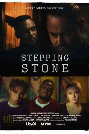 Stepping Stone's poster