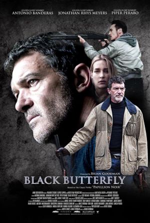 Black Butterfly's poster