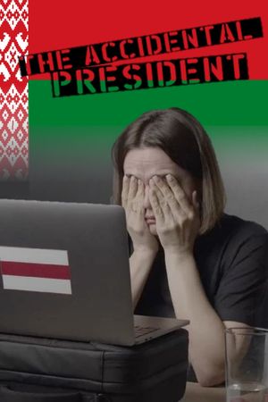 The Accidental President's poster