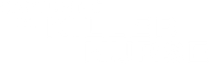 Capturing the Killer Nurse's poster