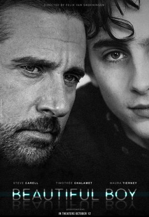 Beautiful Boy's poster