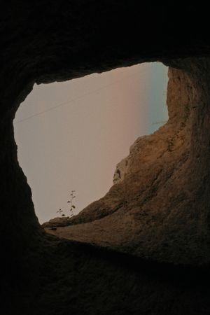 Siticulosa's poster image
