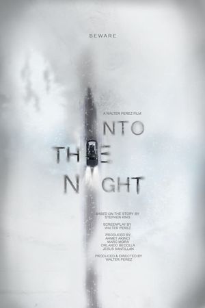Into the Night's poster