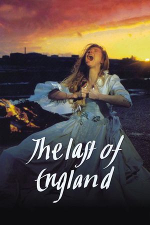 The Last of England's poster