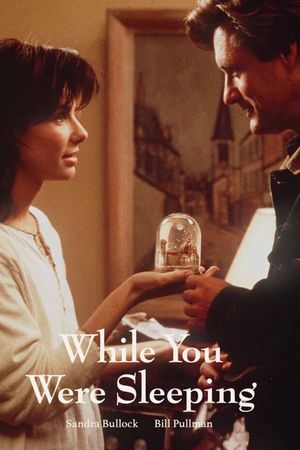 While You Were Sleeping's poster