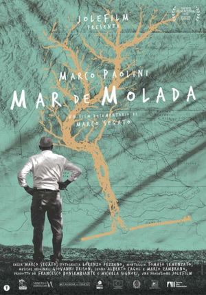 Mar de Molada's poster
