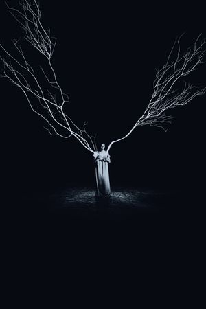 She Will's poster