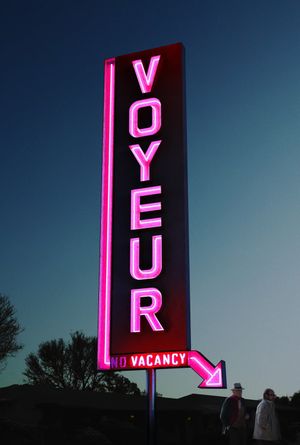 Voyeur's poster