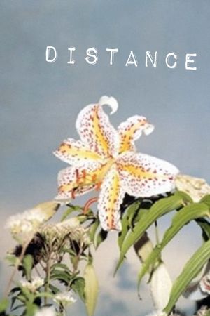 Distance's poster