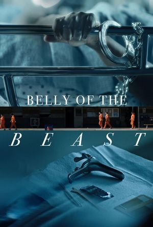 Belly of the Beast's poster