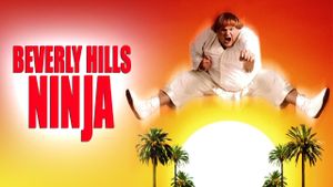 Beverly Hills Ninja's poster