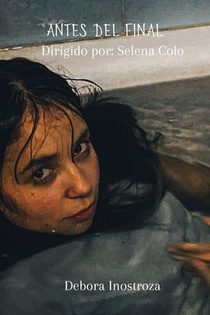 Antes del final's poster