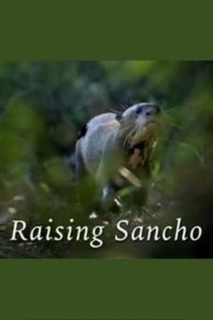 Raising Sancho's poster