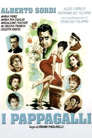 I pappagalli's poster