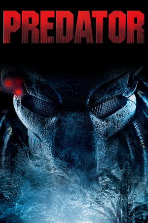Predator's poster