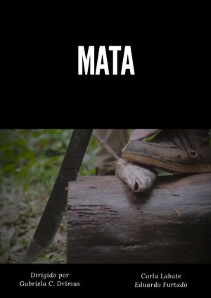 MATA's poster image