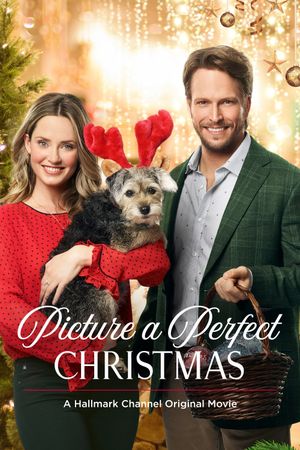 Picture a Perfect Christmas's poster