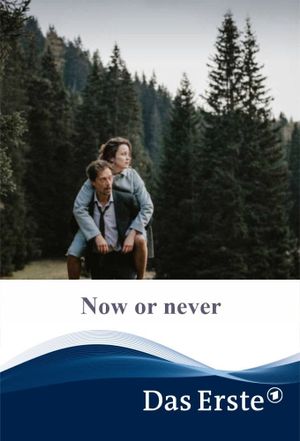Now or Never's poster
