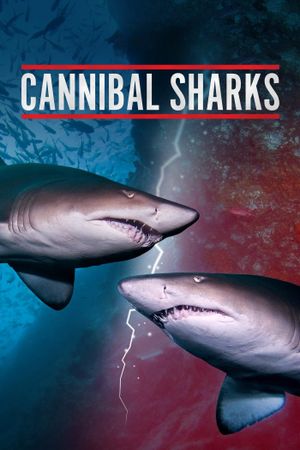 Cannibal Sharks's poster image