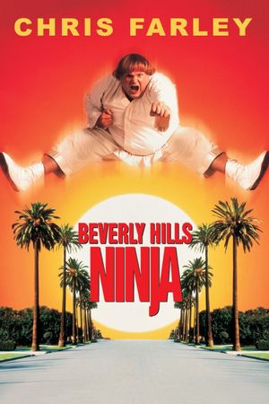 Beverly Hills Ninja's poster