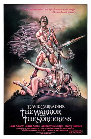 The Warrior and the Sorceress's poster
