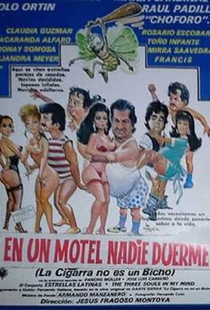 En un motel nadie duerme's poster