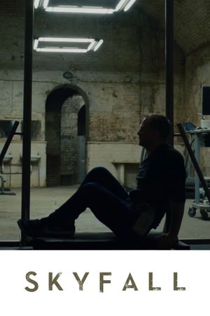 Skyfall's poster
