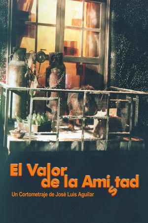 El valor de la amistad's poster