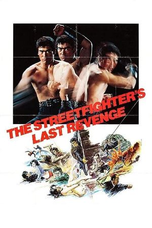 The Street Fighter's Last Revenge's poster image