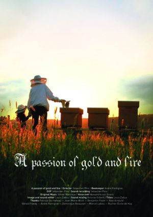 A Passion of Gold and Fire's poster