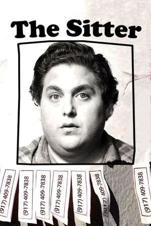 The Sitter's poster