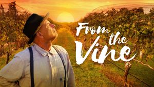 From the Vine's poster