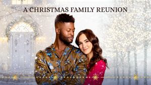 Welcome to the Christmas Family Reunion's poster