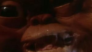 Gremlins's poster