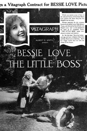 The Little Boss's poster