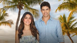 Love in the Sun's poster