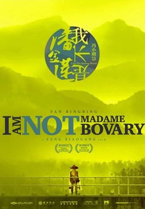 I Am Not Madame Bovary's poster