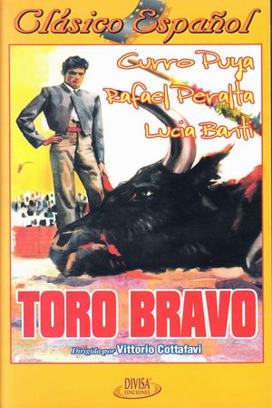 Toro bravo's poster