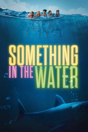 Something in the Water's poster