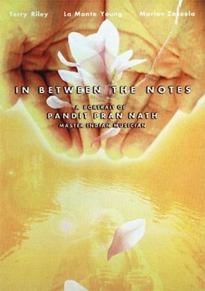 In Between The Notes: A Portrait of Pandit Pran Nath's poster image