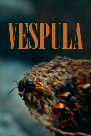 Vespula's poster