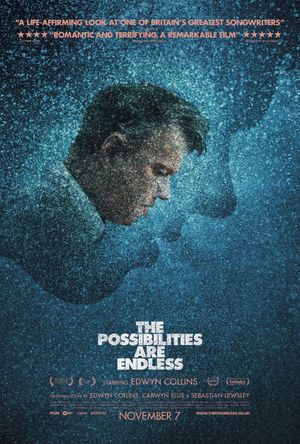 The Possibilities Are Endless's poster