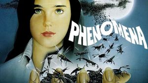 Phenomena's poster
